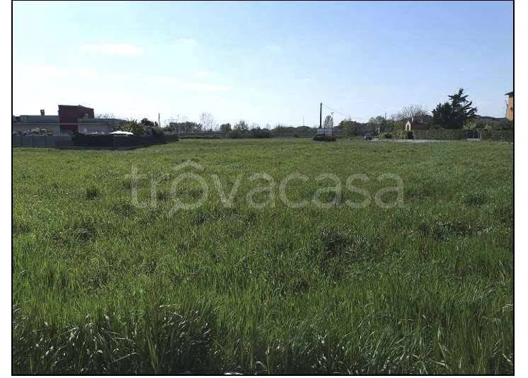 immagine annuncio 5 di 6