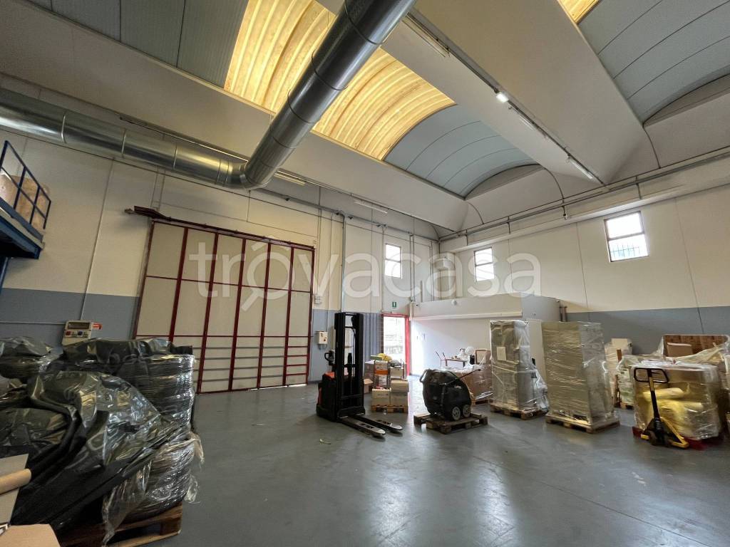 immagine annuncio 9 di 15