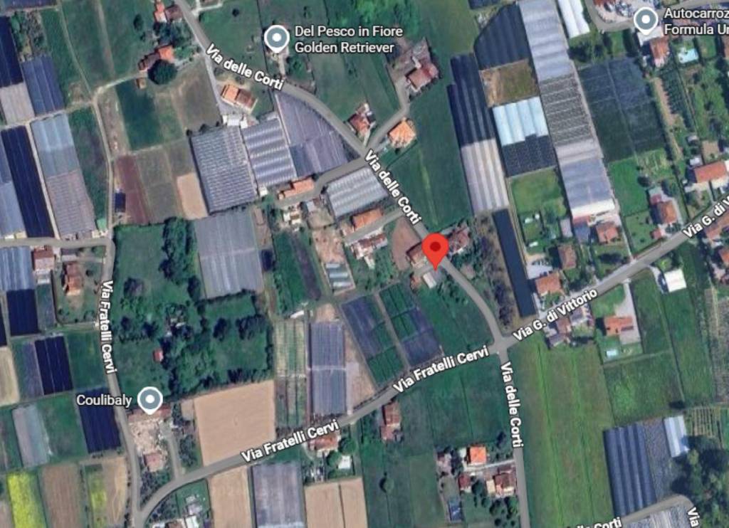 immagine annuncio 6 di 11