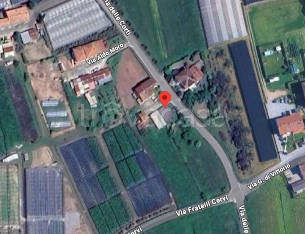 immagine annuncio 8 di 11