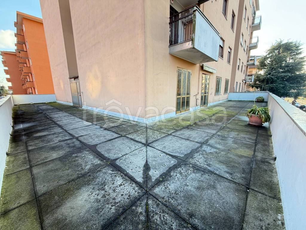 immagine annuncio 9 di 14