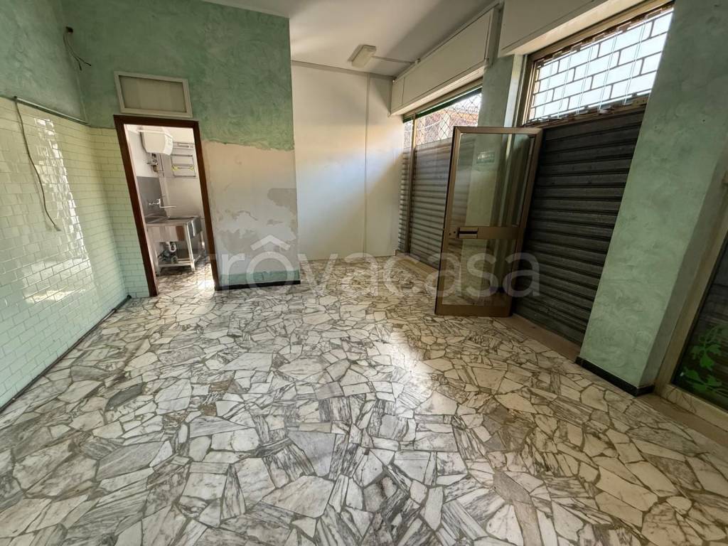 immagine annuncio 2 di 7