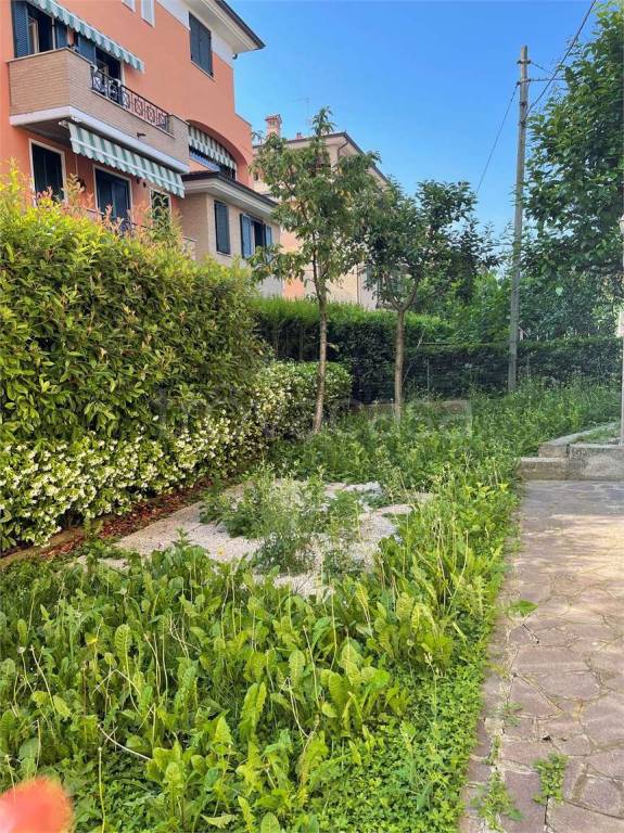 immagine annuncio 5 di 7