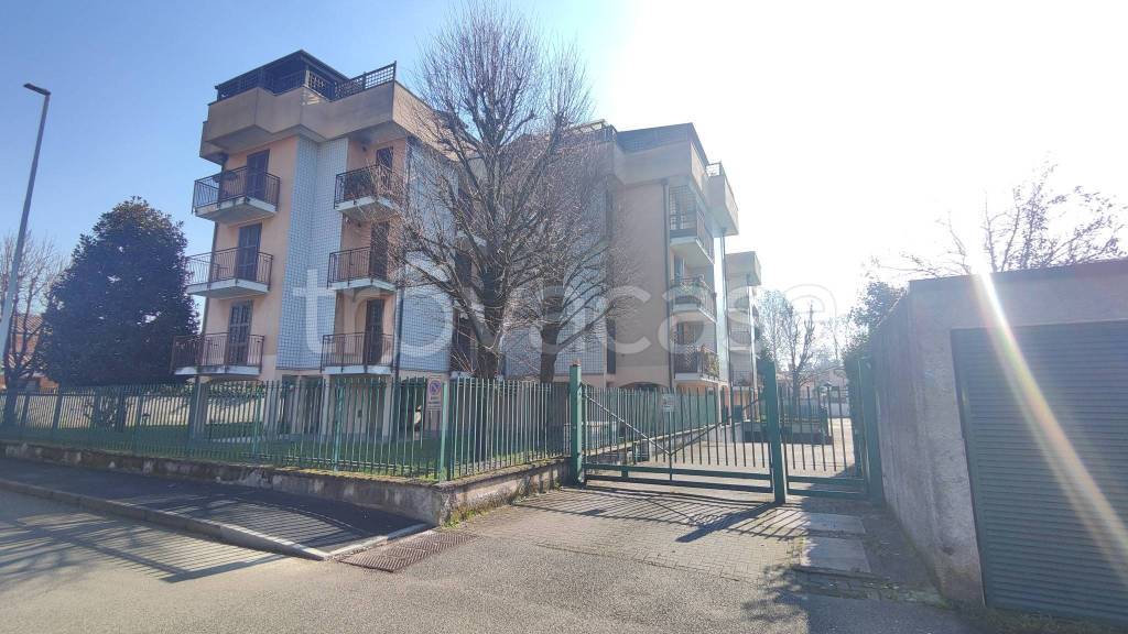 immagine annuncio 12 di 15