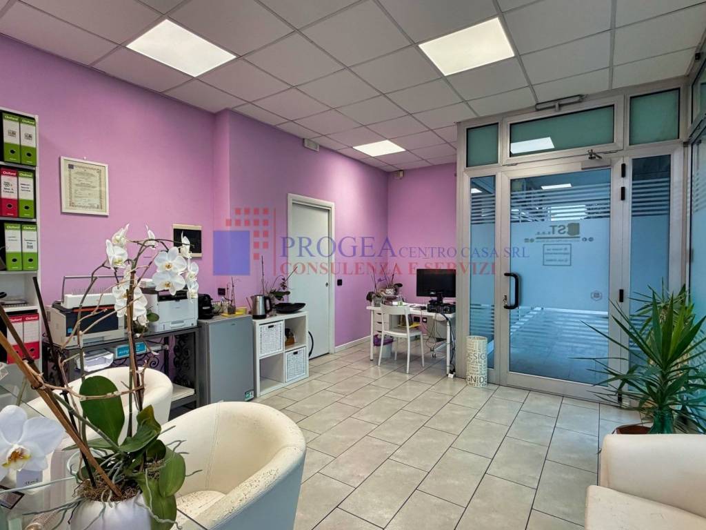 immagine annuncio 3 di 7