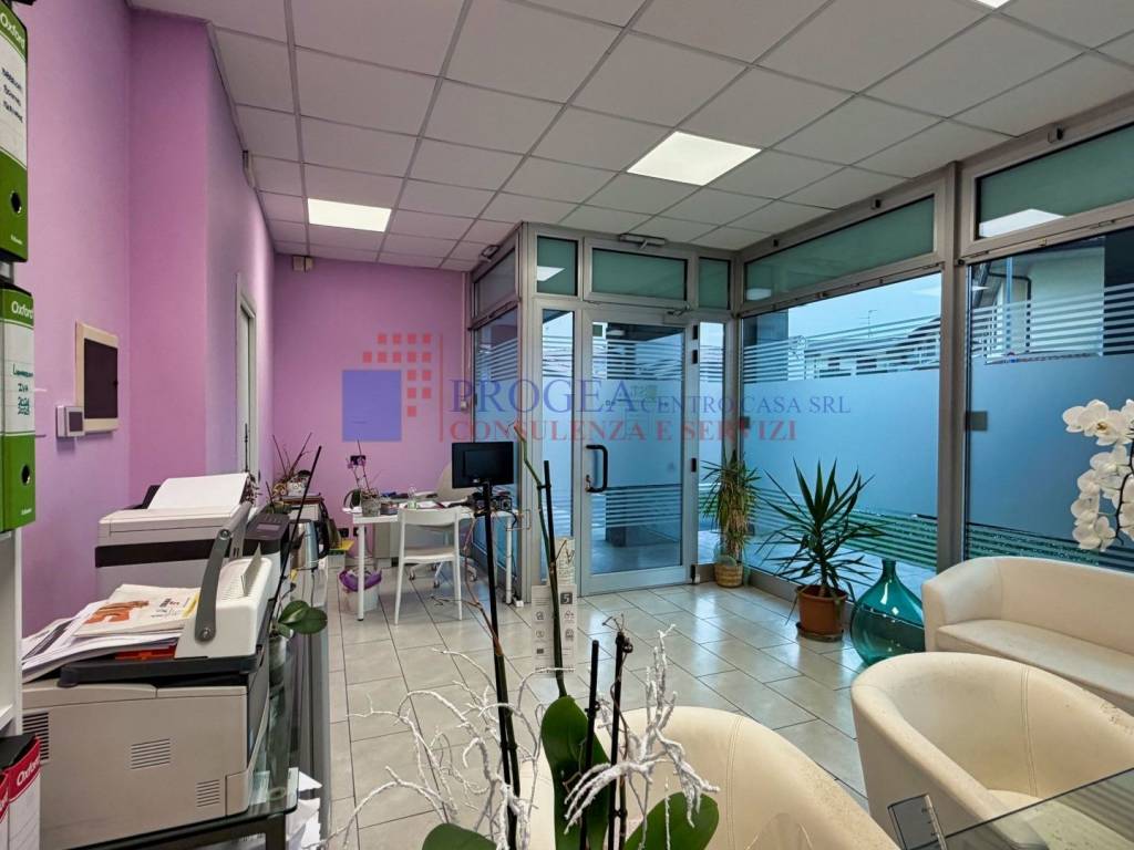 immagine annuncio 4 di 7