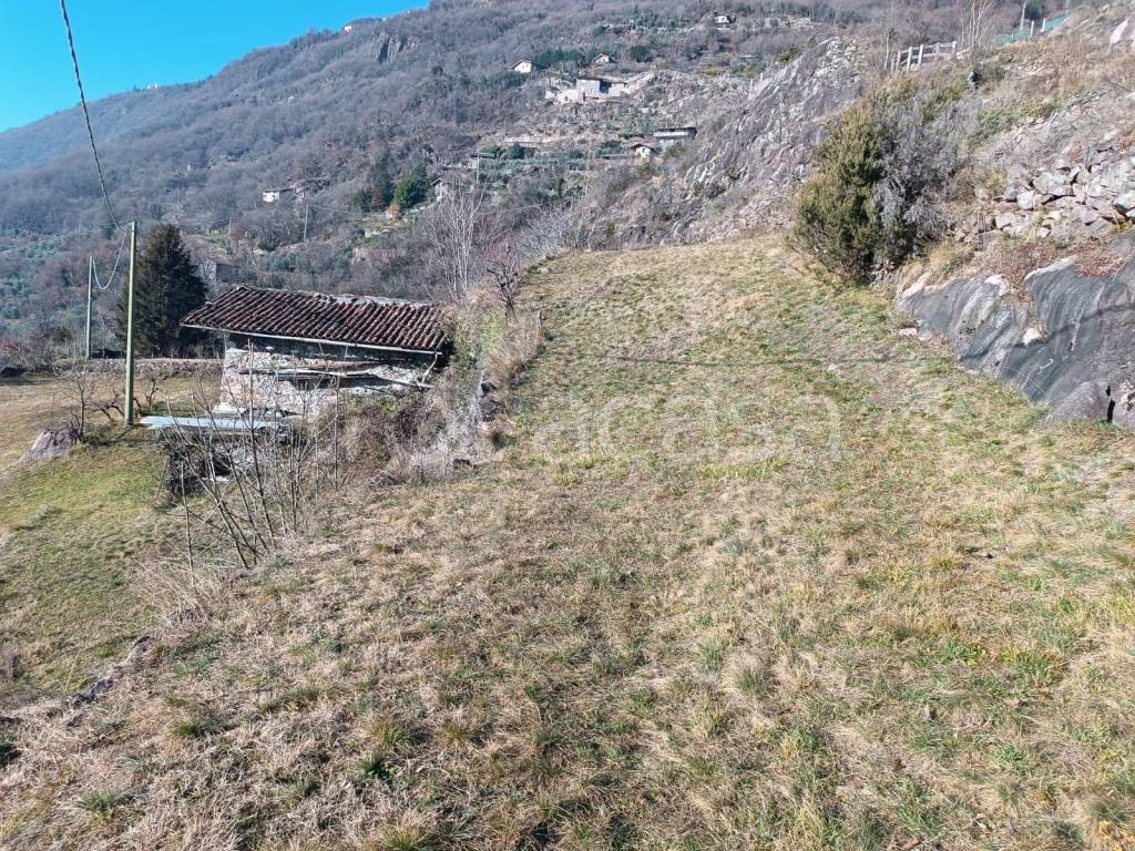 immagine annuncio 2 di 11