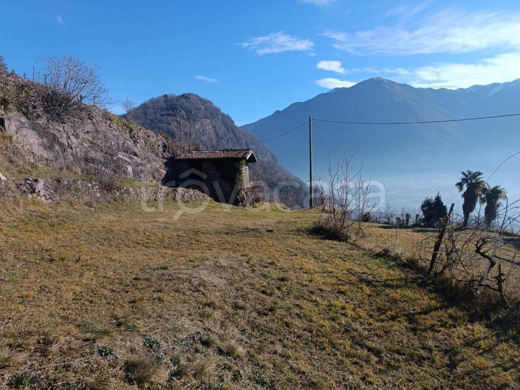 immagine annuncio 3 di 11