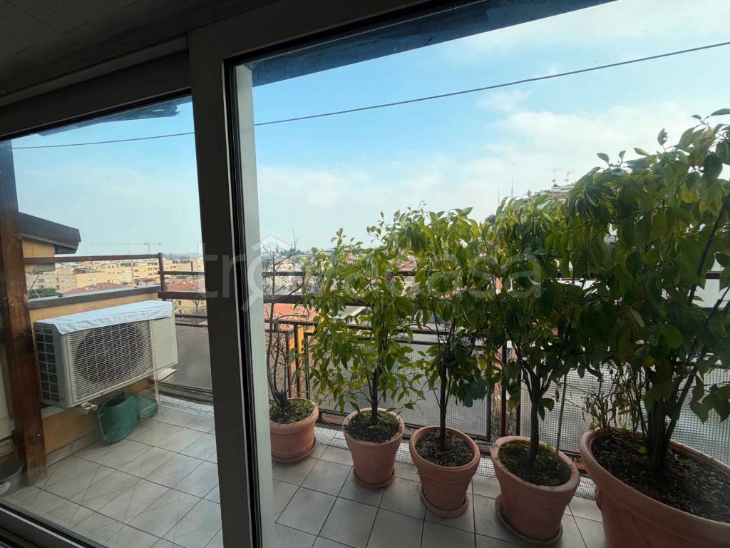 immagine annuncio 8 di 9