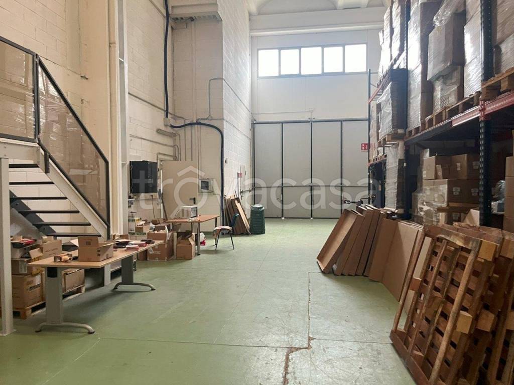 immagine annuncio 11 di 15