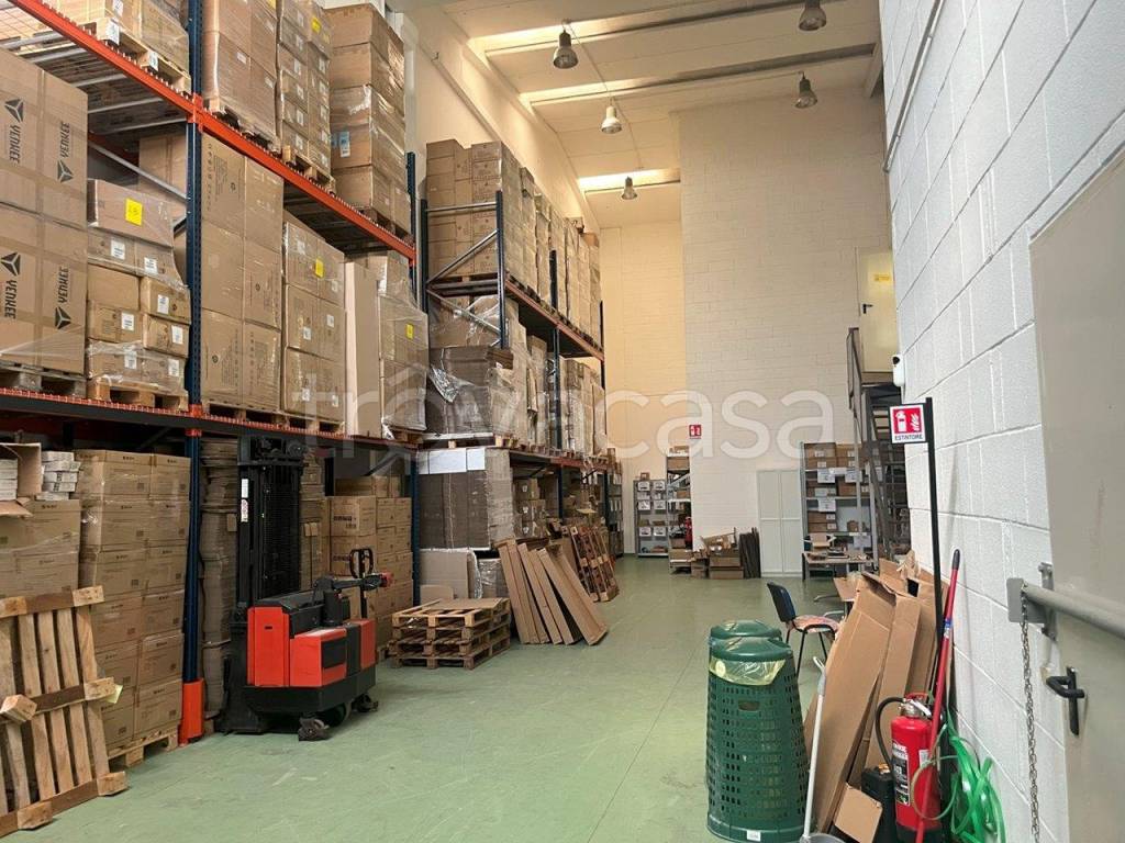 immagine annuncio 12 di 15