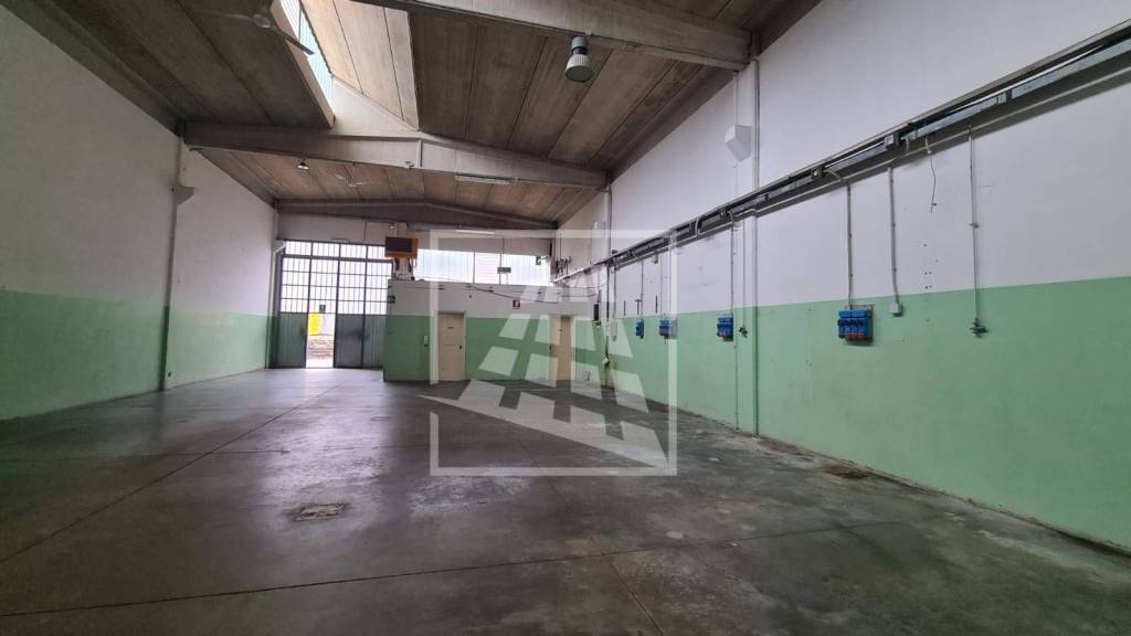 immagine annuncio 10 di 15