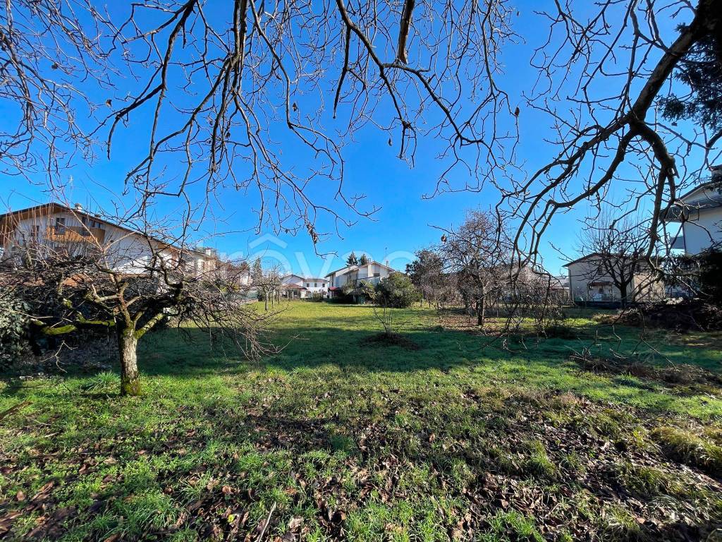 immagine annuncio 1 di 7