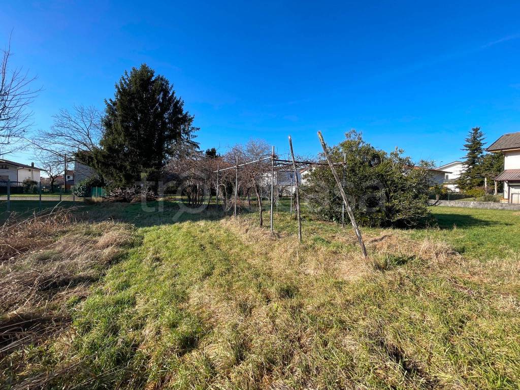 immagine annuncio 5 di 7