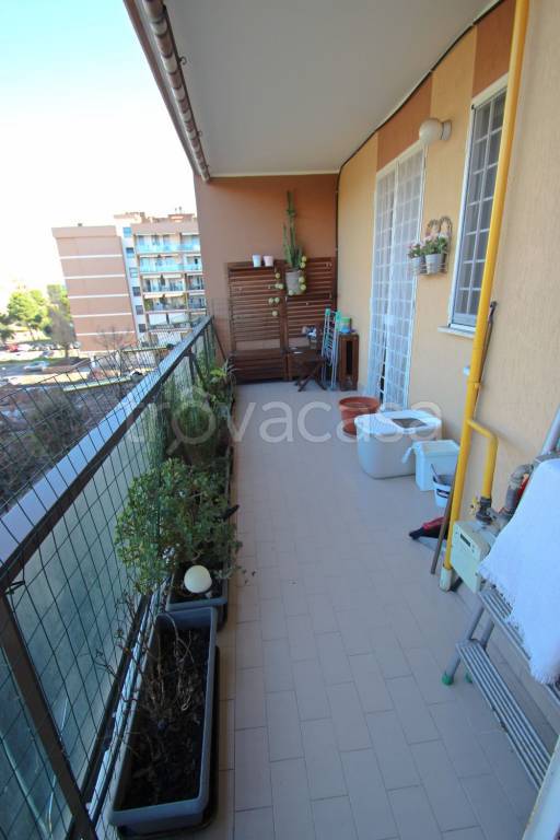 immagine annuncio 9 di 12