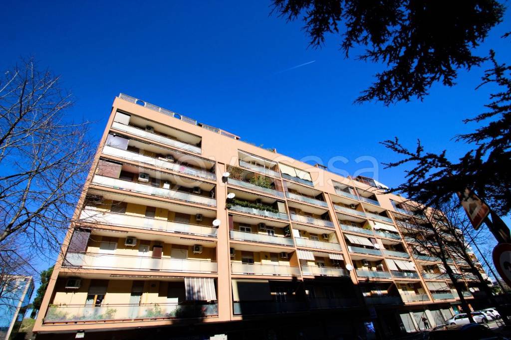 immagine annuncio 10 di 12