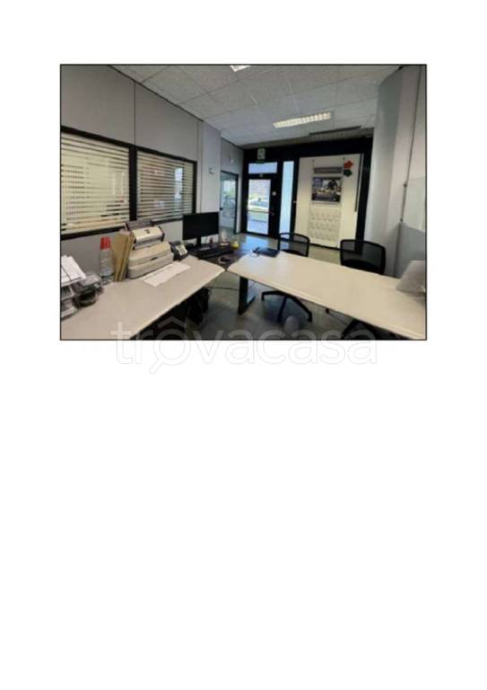 immagine annuncio 3 di 7