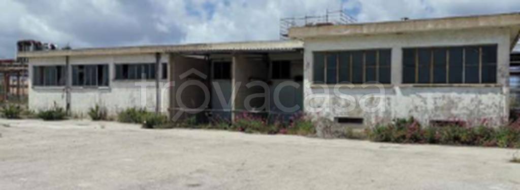 immagine annuncio 9 di 11