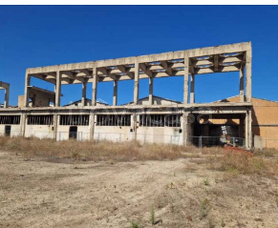 immagine annuncio 4 di 11