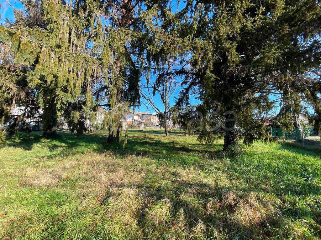 immagine annuncio 2 di 14