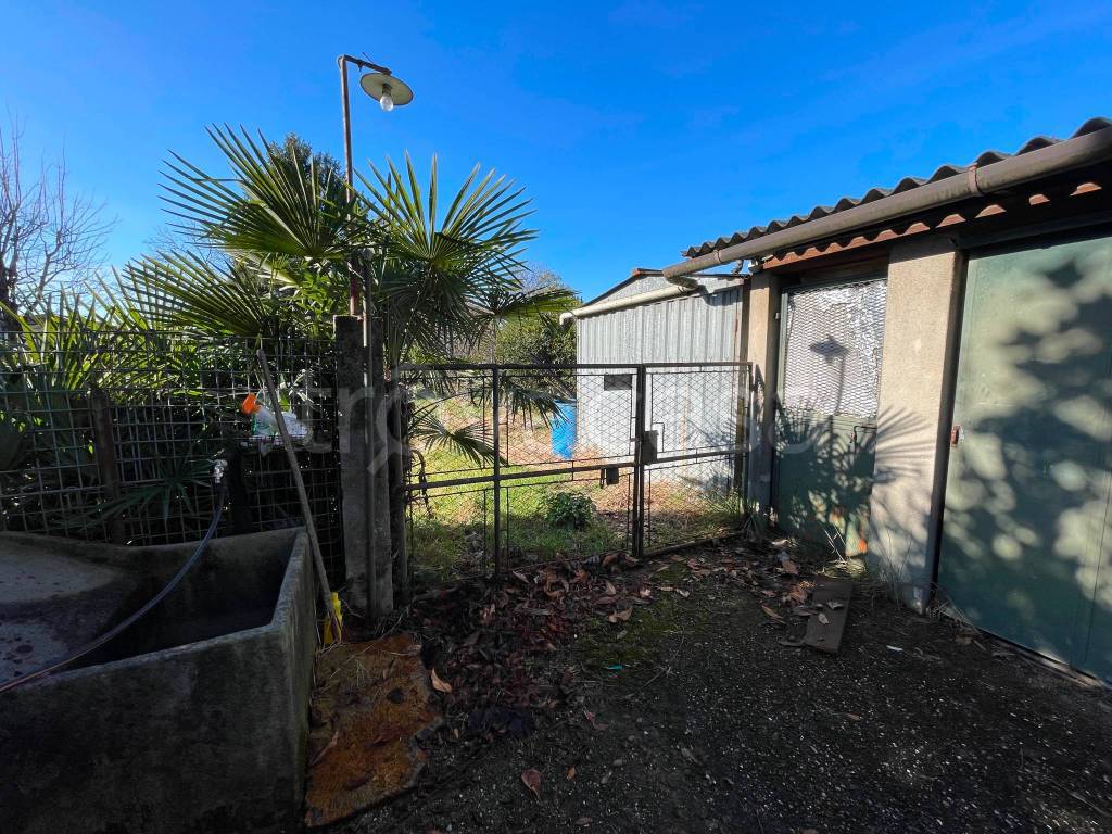 immagine annuncio 6 di 14