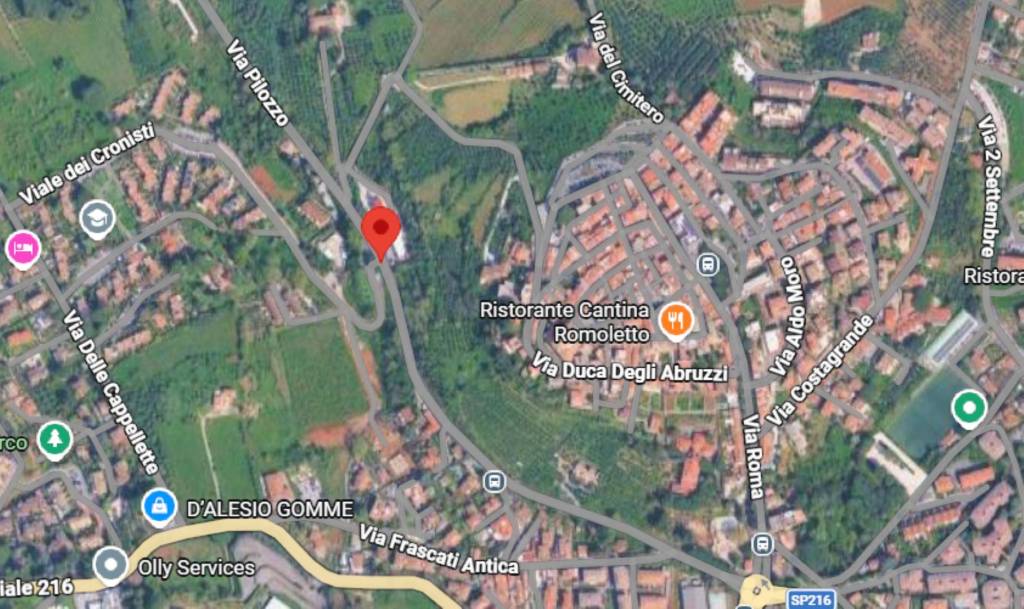 immagine annuncio 9 di 10