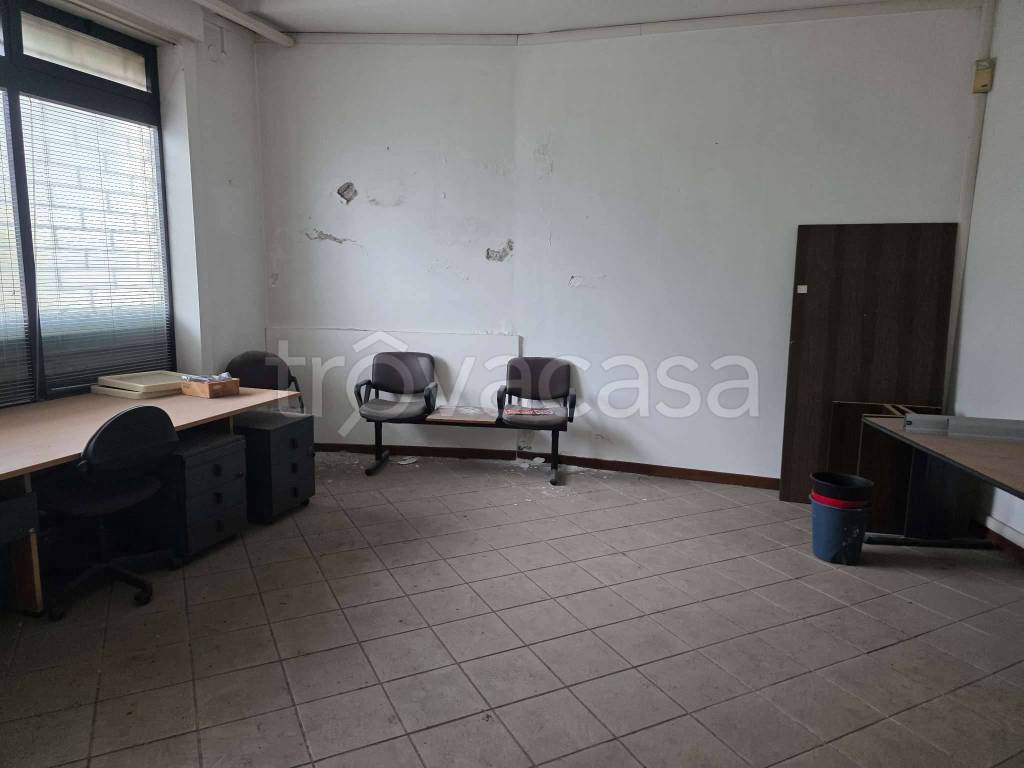 immagine annuncio 10 di 14