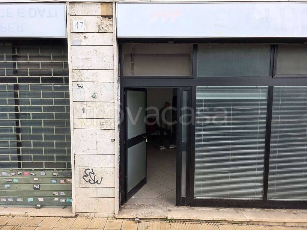 immagine annuncio 12 di 14