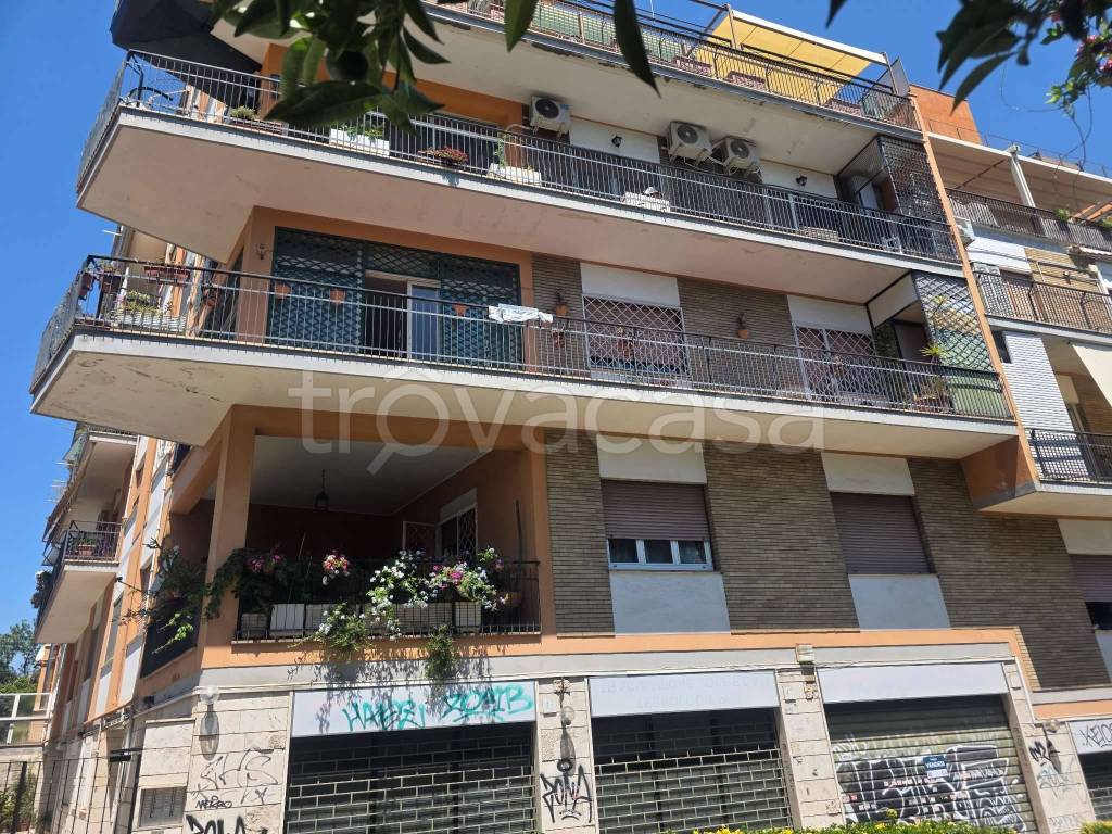 immagine annuncio 5 di 14