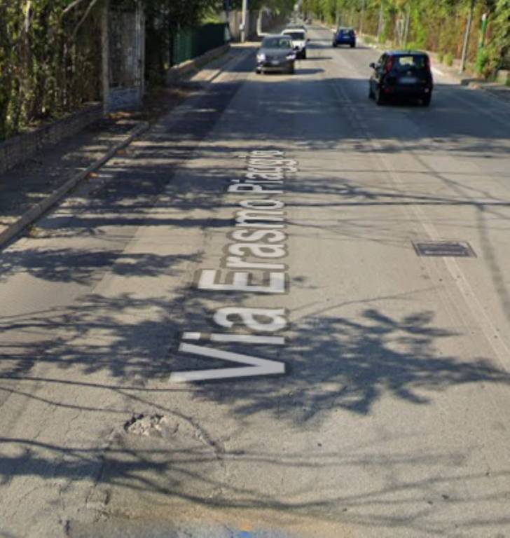 immagine annuncio 7 di 12