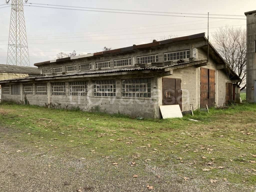 immagine annuncio 12 di 15