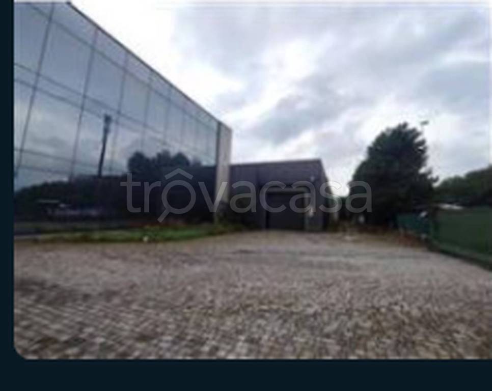 immagine annuncio 4 di 11