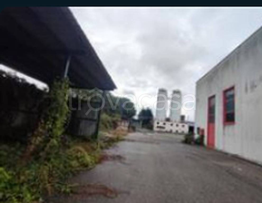 immagine annuncio 6 di 11