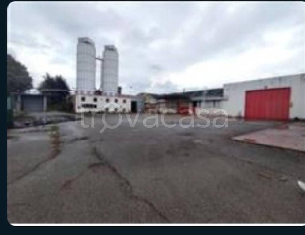 immagine annuncio 8 di 11