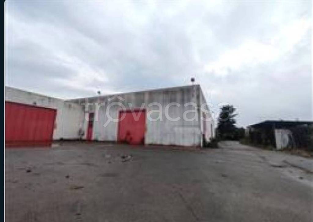 immagine annuncio 10 di 11