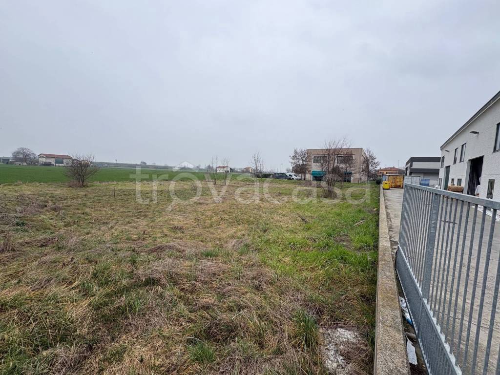 immagine annuncio 2 di 7