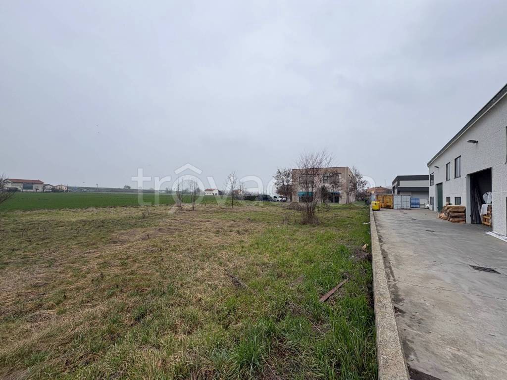 immagine annuncio 3 di 7