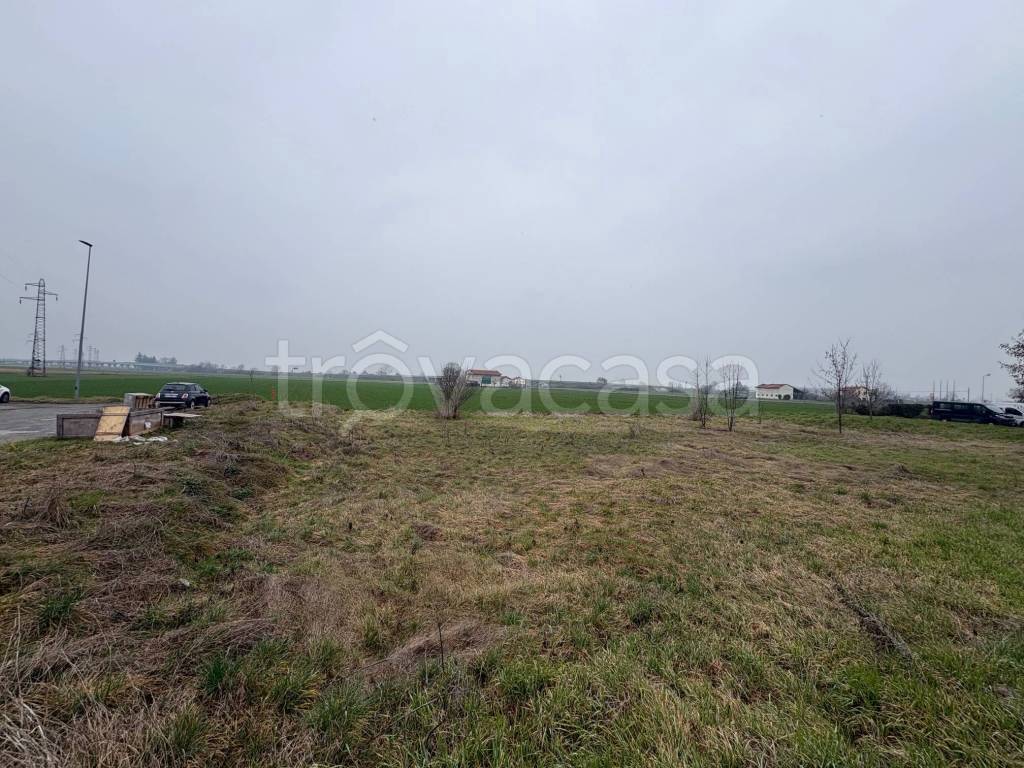 immagine annuncio 4 di 7