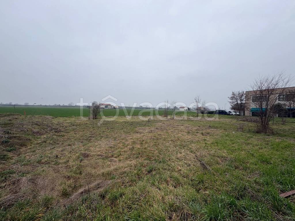 immagine annuncio 5 di 7