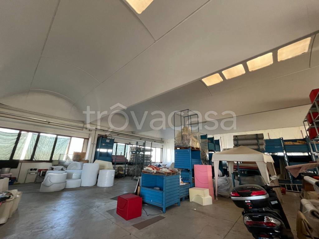 immagine annuncio 10 di 11