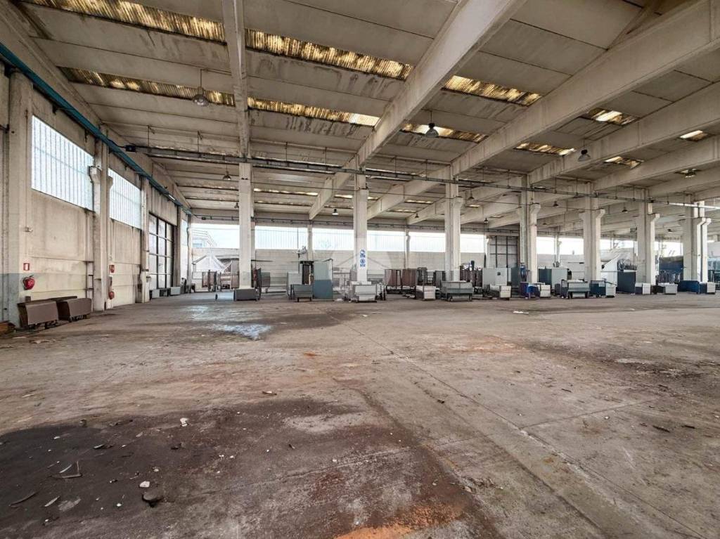 immagine annuncio 13 di 15