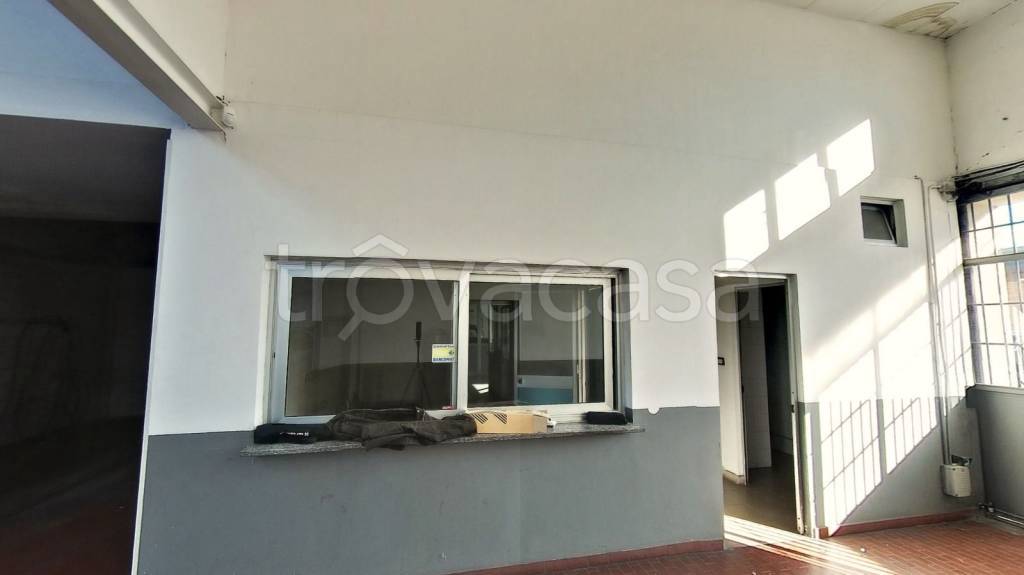 immagine annuncio 12 di 13