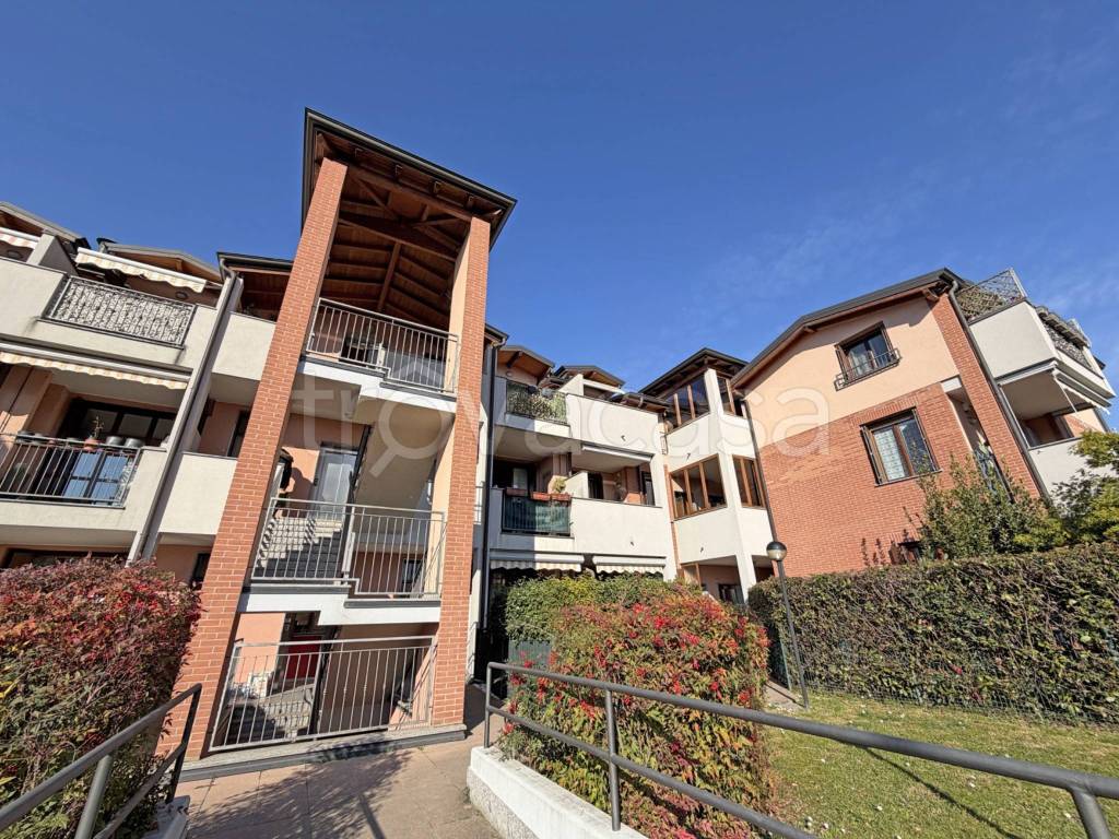 immagine annuncio 1 di 15