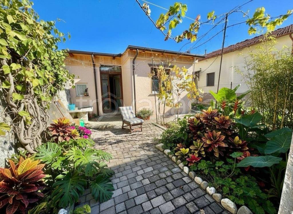 immagine annuncio 3 di 14