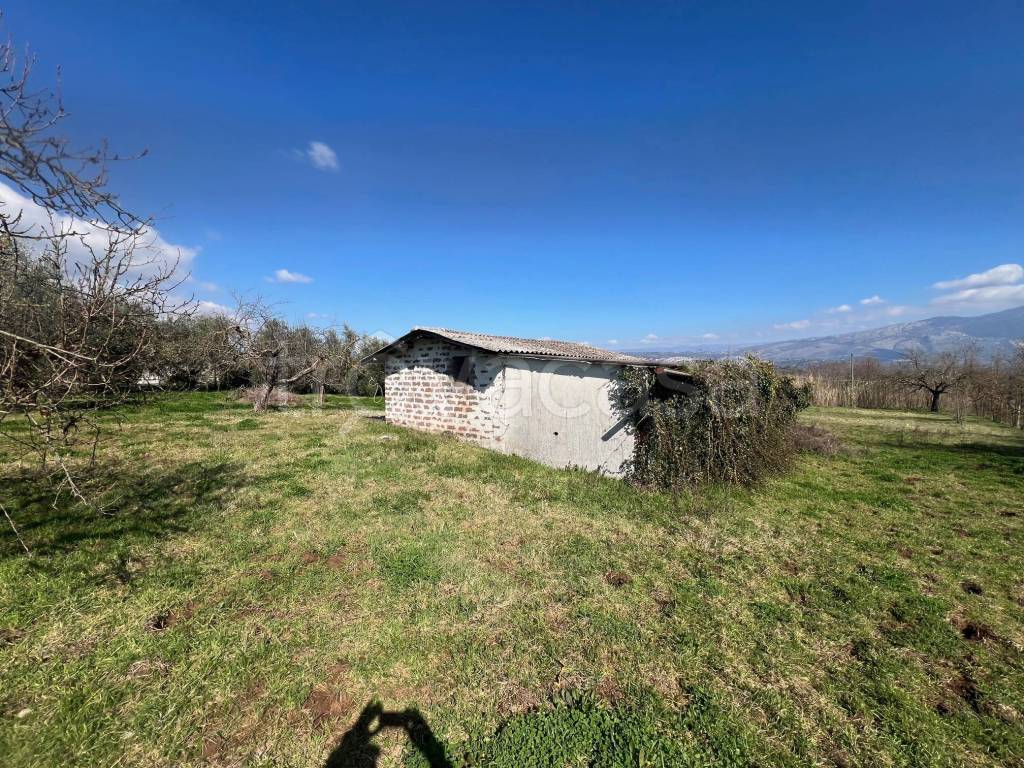 immagine annuncio 12 di 15