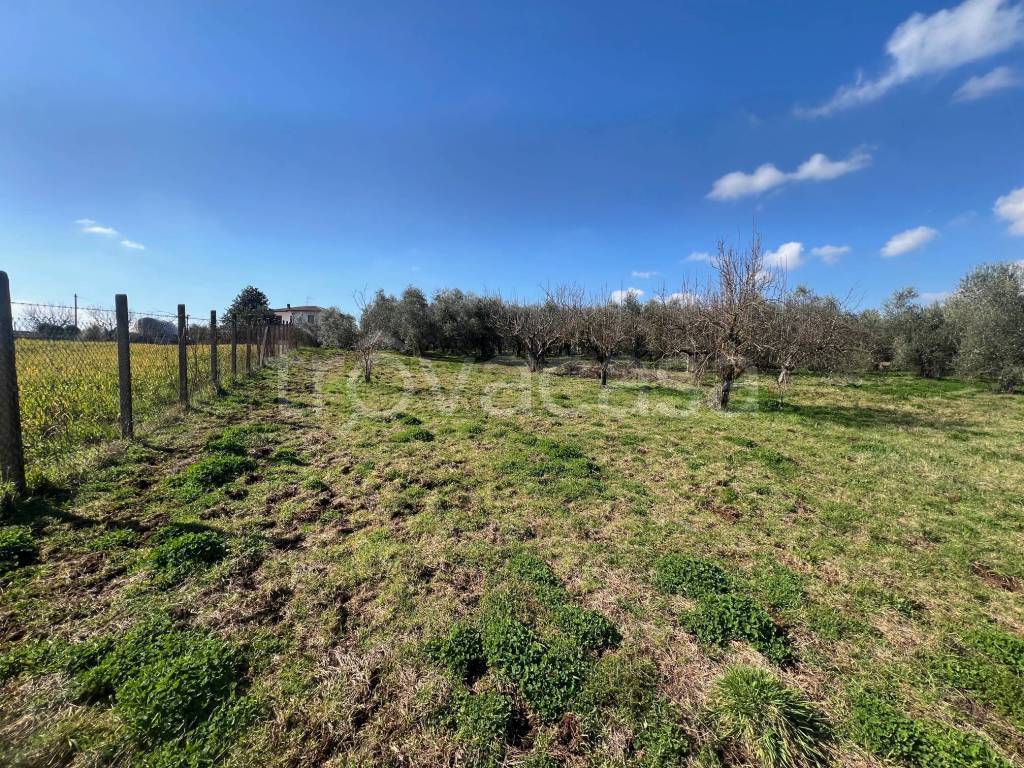 immagine annuncio 13 di 15