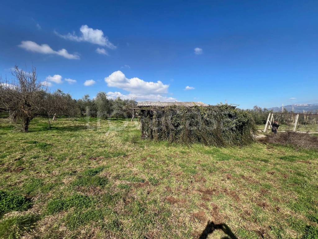 immagine annuncio 14 di 15