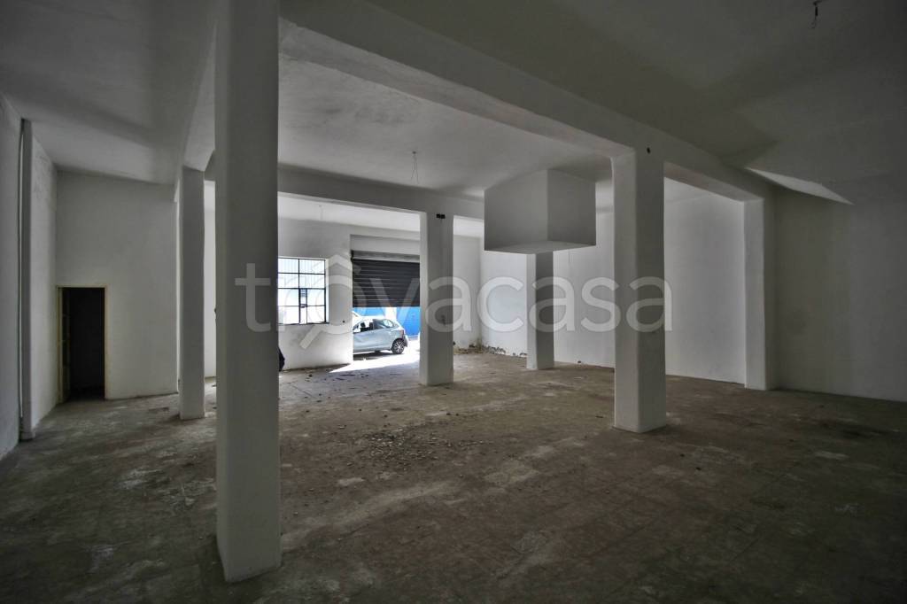 immagine annuncio 3 di 12