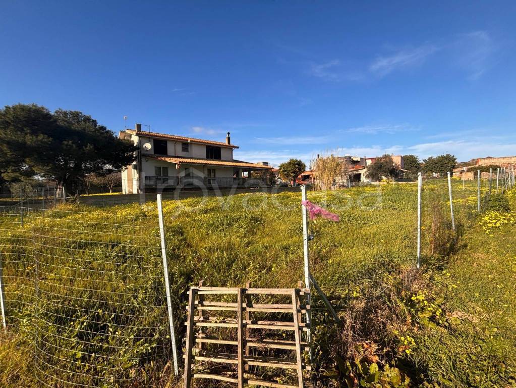 immagine annuncio 3 di 6