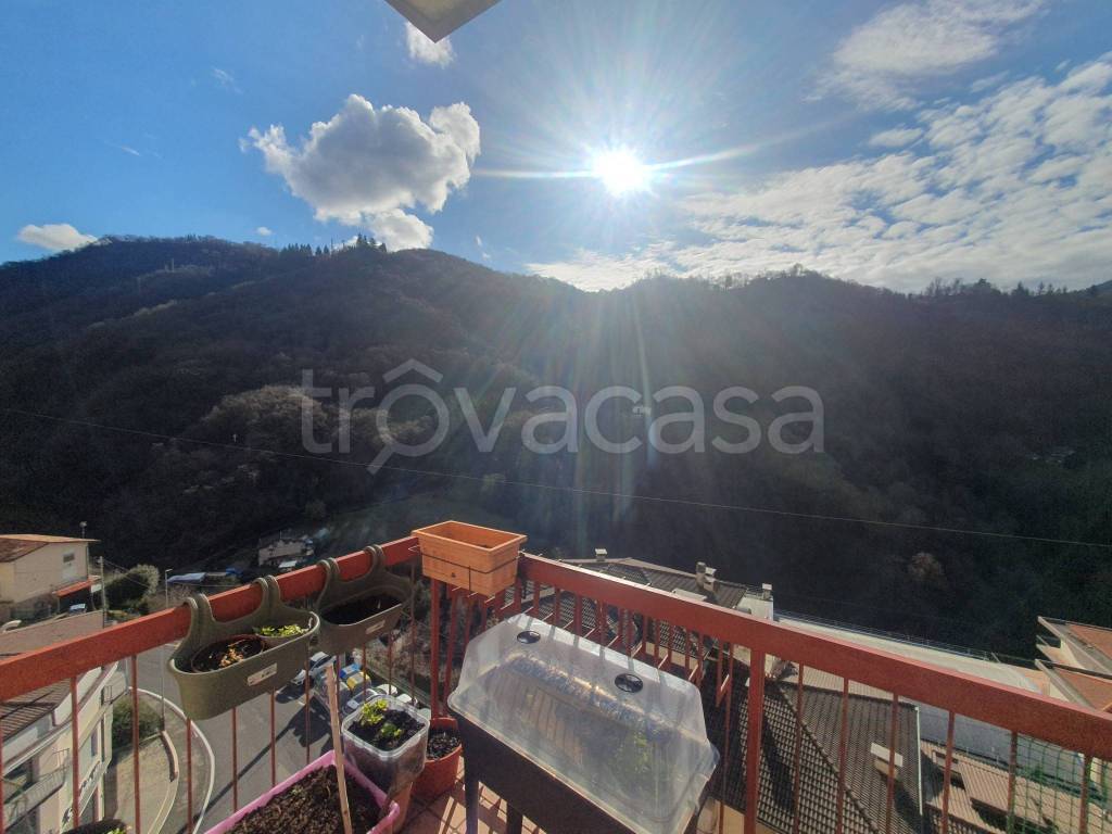 immagine annuncio 11 di 13